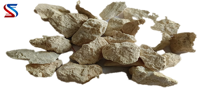 �X�\������|�X����(x��)��|���X�ǿ�|��(x��)�ۃr(ji��)��|�S��